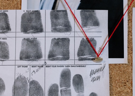 Read more about the article Fingerprinting Features